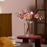 LEGO Botánicos Ramas de magnolia, Juegos de construcción Minorista