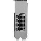 PNY NVIDIA RTX PRO 2000 Blackwell Generation 16GB SB, Tarjeta gráfica A granel