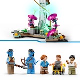 LEGO 75573, Juegos de construcción 
