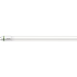 Philips PH-43168300