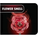 Revell Dream of Roses flores de madera, Decoración madera, Minorista