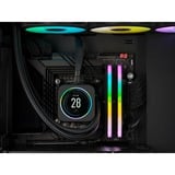 Corsair CMH32GX5M2D6000C36, Memoria RAM negro