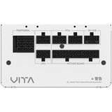 FSP PPA8504214, Fuente de alimentación de PC blanco