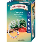 KOSMOS 658281, Caja de experimentos 