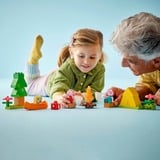LEGO 10452, Juegos de construcción 