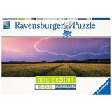 Ravensburger 17491, Puzzle 
