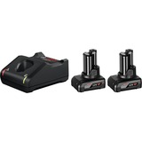 Bosch 1 600 A01 B20 cargador y batería cargable Juego de cargador y baterías, Conjunto Juego de cargador y baterías, Ión de litio, 6 Ah, 12 V, Bosch, Negro