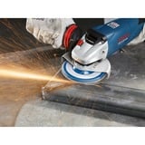 Bosch 2 608 606 923 accesorio para amoladora angular, Rueda de esmeril Metal, 12,5 cm, Bosch, 2,22 cm, 1 pieza(s)