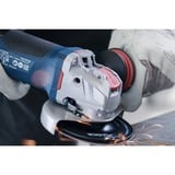 Bosch R780 Disco de lijado, Rueda de esmeril Disco de lijado, Acero inoxidable, Acero, 12,5 cm, Bosch, Centro plano, 2,22 cm