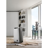 DeLonghi DNS65 2,8 L 34 dB Negro, Gris, Deshumidificador negro/blanco, 220 - 240 V, 50 Hz, 1 - 35 °C, 30 - 95%, 340 mm, 192 mm