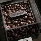 DeLonghi KG89 110 W Acero inoxidable, Molinillo de café plateado, 120 g, Acero inoxidable, Plástico, Acero inoxidable, 12 pieza(s), 110 W, 220 - 240 V