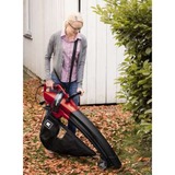 Einhell GC-EL 3000 E, Aspirador/soplador rojo/Negro