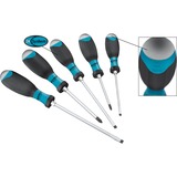 Hazet 810 U-1/5 destornillador manual Juego 555 g, Negro / Azul