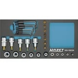 Hazet Juego de puntas de llave de vaso hexagonal 163-192/24, tamaño 1/3, Llave de tubo 