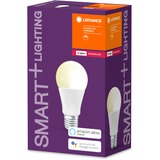 LEDVANCE SMART+ Classic Dimmable Bombilla inteligente 8,5 W Blanco ZigBee, Lámpara LED Bombilla inteligente, Blanco, ZigBee, LED, E27, Blanco cálido