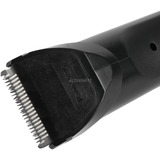 Panasonic ER1411 cortadora de pelo y maquinilla, Cortador de pelo plateado, 1,8 cm, 1 mm, 40 min