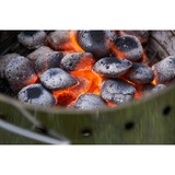 Petromax Atago Barbacoa Tetera Acero inoxidable, Parrilla acero fino, Barbacoa, Tetera, Parrilla, Acero inoxidable, Alrededor, Acero inoxidable