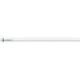Philips Master lámpara LED 6500 K 12,5 W G13 12,5 W, G13, 2100 lm, 50000 h