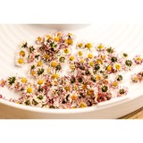 Rommelsbacher DE 100 batidora y accesorio para mezclar alimentos, Ensayo blanco, Blanco, DA 750, 340 mm, 340 mm, 100 mm, 1,1 kg