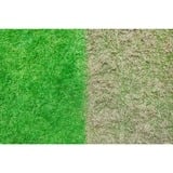 Ryobi RY18SFX35A-0 Cortacésped manual Batería Negro, Verde, Escarificador verde/Negro, Cortacésped manual, 35 cm, 55 L, 4 rueda(s), Sin escobillas, 1,5 m/s²