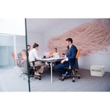 Venta LW45 purificador de aire 75 m² 45 dB 8 W Blanco, Humidificador blanco/Gris, 75 m², 45 dB, 4,2 m², 10 L, Alemania, Blanco