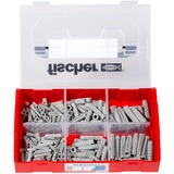 fischer Caja de tacos FixTainer SX, Pasador gris claro