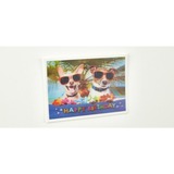 fischer GOW garra magnética, Imán plateado