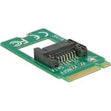 DeLOCK 62876 tarjeta y adaptador de interfaz Interno SATA, Controlador ATA serie M.2, SATA, Verde, 6 Gbit/s, 22 mm, 42 mm