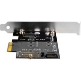 SilverStone ECM20 tarjeta y adaptador de interfaz Interno PCIe, SATA, Controlador ATA serie M.2, PCIe, SATA, Negro