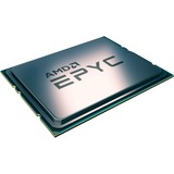 AMD EPYC 7252 procesador 3,1 GHz 64 MB L3 AMD EPYC, Socket SP3, 7 nm, AMD, 3,1 GHz, 32-bit