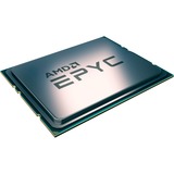 AMD EPYC 7252 procesador 3,1 GHz 64 MB L3 AMD EPYC, Socket SP3, 7 nm, AMD, 3,1 GHz, 32-bit, Tray