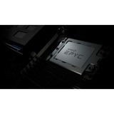 AMD EPYC 7252 procesador 3,1 GHz 64 MB L3 AMD EPYC, Socket SP3, 7 nm, AMD, 3,1 GHz, 32-bit, Tray