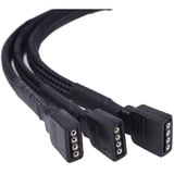 Alphacool 18538 accesorio o pieza de sistema de refrigeración para ordenador Cable divisor RGB, Cable Y negro, Cable divisor RGB, Negro, Hembra, Hembra