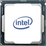 Intel® Xeon E-2124G procesador 3,4 GHz 8 MB Smart Cache Caja Intel® Xeon®, LGA 1151 (Zócalo H4), 14 nm, Intel, E-2124G, 3,4 GHz, en caja