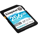 Kingston Canvas Go! Plus 256 GB SD UHS-I Clase 10, Tarjeta de memoria negro, 256 GB, SD, Clase 10, UHS-I, 170 MB/s, 90 MB/s