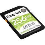 Kingston Canvas Select Plus 256 GB SDXC UHS-I Clase 10, Tarjeta de memoria negro, 256 GB, SDXC, Clase 10, UHS-I, 100 MB/s, 85 MB/s