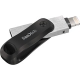 SanDisk SDIX60N-256G-GN6NE unidad flash USB 256 GB 3.2 Gen 1 (3.1 Gen 1) Gris, Plata, Lápiz USB negro/Plateado, 256 GB, 3.2 Gen 1 (3.1 Gen 1), Funda, 7,2 g, Gris, Plata