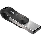 SanDisk SDIX60N-256G-GN6NE unidad flash USB 256 GB 3.2 Gen 1 (3.1 Gen 1) Gris, Plata, Lápiz USB negro/Plateado, 256 GB, 3.2 Gen 1 (3.1 Gen 1), Funda, 7,2 g, Gris, Plata