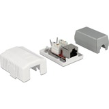 DeLOCK 86196 toma de corriente RJ-45 Blanco, Caja de conexiones blanco, RJ-45, Blanco, TIA-568A/B, 39 mm, 54 mm, 29,5 mm