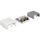 DeLOCK 86197 toma de corriente 2 x RJ-45 Blanco, Caja de conexiones blanco, 2 x RJ-45, Blanco, TIA-568A/B, 59 mm, 61 mm, 29,5 mm