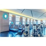 TP-Link Omada EAP115 300 Mbit/s Blanco Energía sobre Ethernet (PoE), Punto de acceso blanco, 2,4 GHz, 300 Mbit/s, 64-bit WEP, 128-bit WEP, 152-bit WEP, HTTPS, SNMP, SSH, WPA, WPA-PSK, WPA2-Enterprise, WPA2-PSK, 10,100,1000 Mbit/s