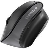 CHERRY MW 4500 ratón mano derecha RF inalámbrico Óptico 1200 DPI negro, mano derecha, Diseño vertical, Óptico, RF inalámbrico, 1200 DPI, Negro