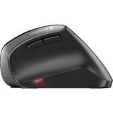 CHERRY MW 4500 ratón mano derecha RF inalámbrico Óptico 1200 DPI negro, mano derecha, Diseño vertical, Óptico, RF inalámbrico, 1200 DPI, Negro