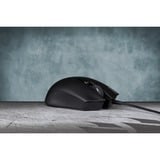 Corsair Harpoon RGB Pro ratón mano derecha USB tipo A Óptico 12000 DPI, Ratones para gaming negro, mano derecha, Óptico, USB tipo A, 12000 DPI, Negro