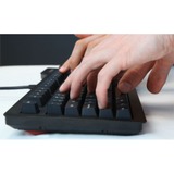Das Keyboard 4 Professional MX Brown US, Teclado para gaming negro, Completo (100%), Alámbrico, USB, Interruptor mecánico, QWERTY, Negro