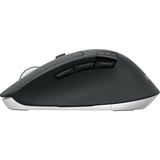 Logitech M720 ratón mano derecha RF Wireless + Bluetooth Óptico 1000 DPI negro, mano derecha, Óptico, RF Wireless + Bluetooth, 1000 DPI, Negro, Blanco