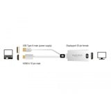 DeLOCK 62496 adaptador de cable de vídeo 0,245 m DisplayPort HDMI + USB Blanco blanco, 0,245 m, DisplayPort, HDMI + USB, Macho, Hembra, Oro