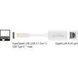 DeLOCK 65906 tarjeta y adaptador de interfaz RJ-45 blanco, USB Tipo C, RJ-45, RJ-45, Blanco, 0,135 m, Actividad, Poder