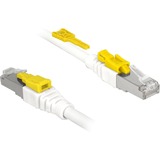DeLOCK 85330 cable de red Blanco 0,5 m Cat6a S/FTP (S-STP) blanco, 0,5 m, Cat6a, S/FTP (S-STP), RJ-45, RJ-45