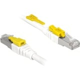 DeLOCK 85332 cable de red Blanco 2 m Cat6a S/FTP (S-STP) blanco, 2 m, Cat6a, S/FTP (S-STP), RJ-45, RJ-45